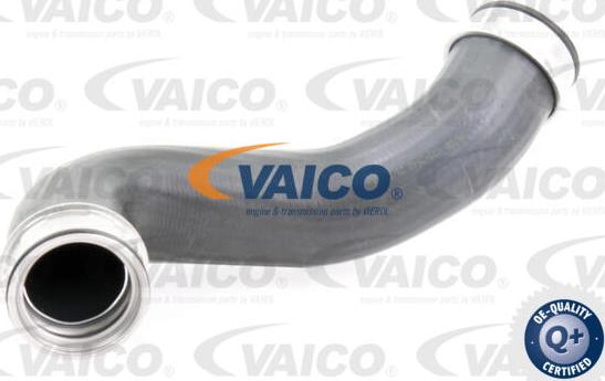 VAICO V30-2648 - Charger Intake Air Hose onlydrive.pro