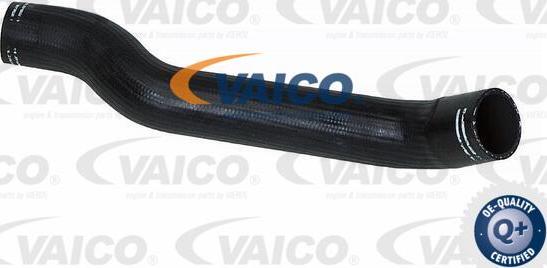 VAICO V24-0682 - Charger Intake Air Hose onlydrive.pro