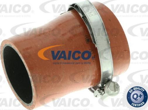 VAICO V25-1035 - Ahdinletku onlydrive.pro