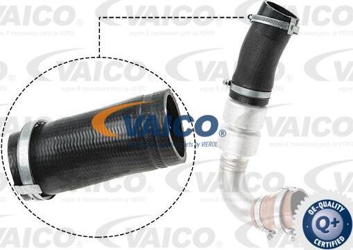 VAICO V25-1036 - Charger Intake Air Hose onlydrive.pro