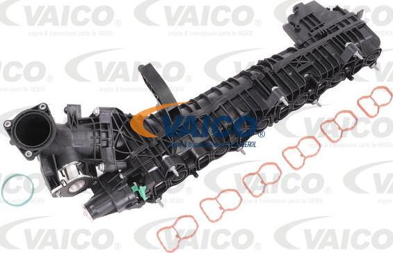 VAICO V20-3089 - Модуль впускной трубы onlydrive.pro