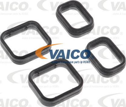VAICO V20-2646 - Oil Seal, automatic transmission onlydrive.pro
