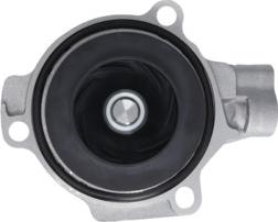 Valeo 529539 - Water Pump onlydrive.pro