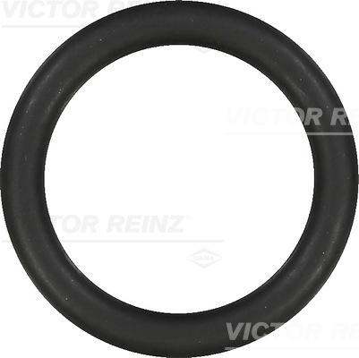 Victor Reinz 40-76919-00 - Gasket, intake manifold onlydrive.pro