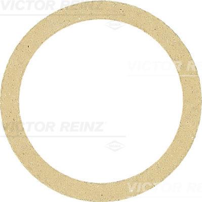 Victor Reinz 71-34244-00 - Tarpiklis, išleidimo kolektorius onlydrive.pro