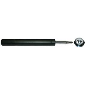 Volvo 22008157 - Shock Absorber onlydrive.pro