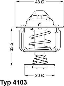 WAHLER 4103.82D - Coolant thermostat / housing onlydrive.pro