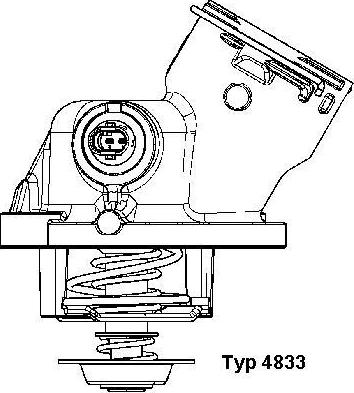 WAHLER 4833.100D - Termostatas, aušinimo skystis onlydrive.pro