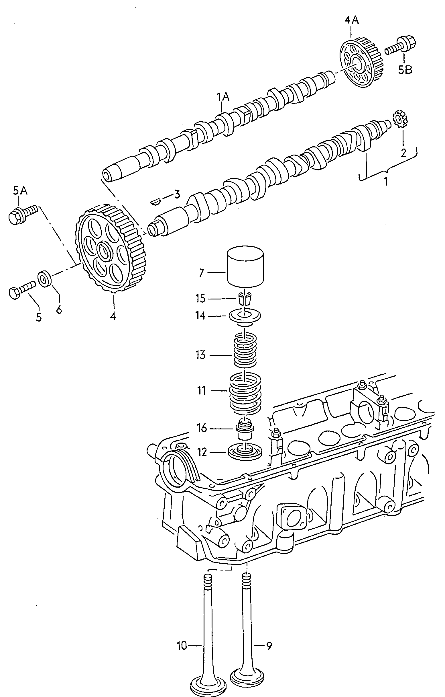 VAG 074 130 111H - Gear, camshaft onlydrive.pro