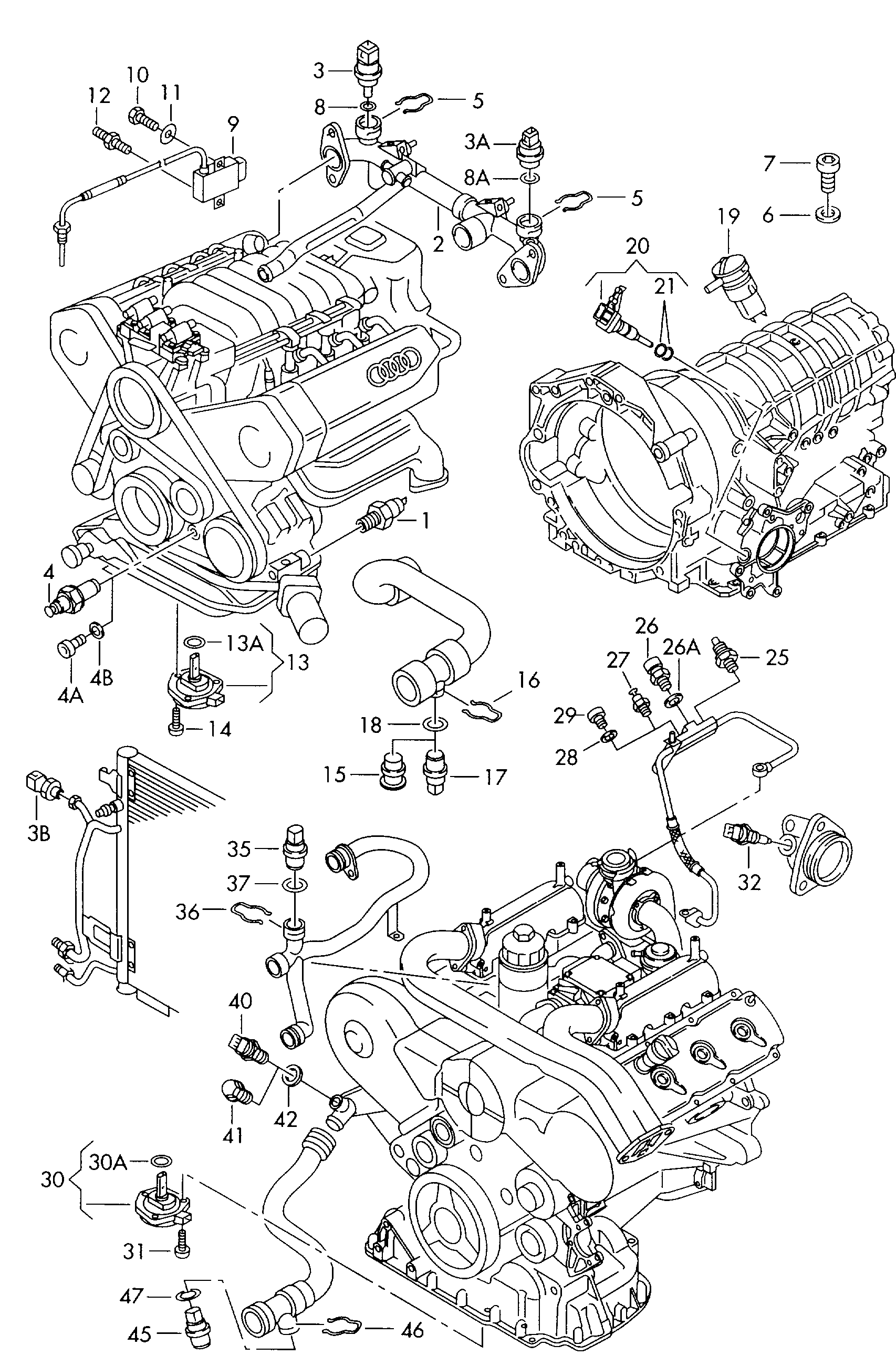 VAG 049 919 563 B - Siuntimo blokas, aušinimo skysčio temperatūra onlydrive.pro