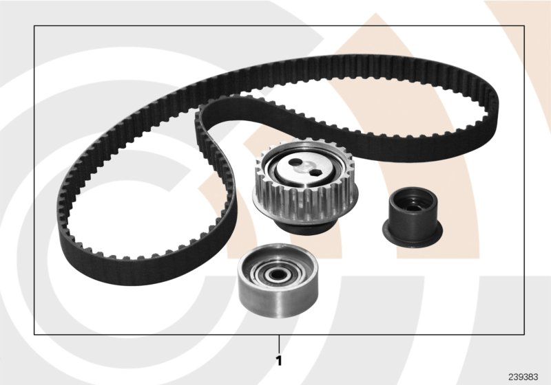 BMW 11 31 7 621 021 - Zobsiksnas komplekts onlydrive.pro