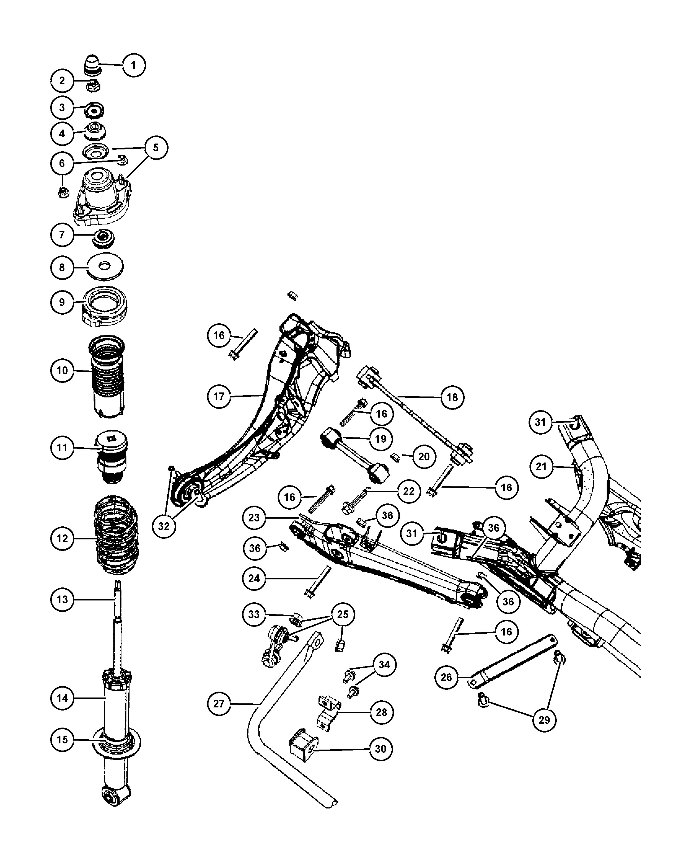 Chrysler 5105 272AA - Bush of Control / Trailing Arm onlydrive.pro