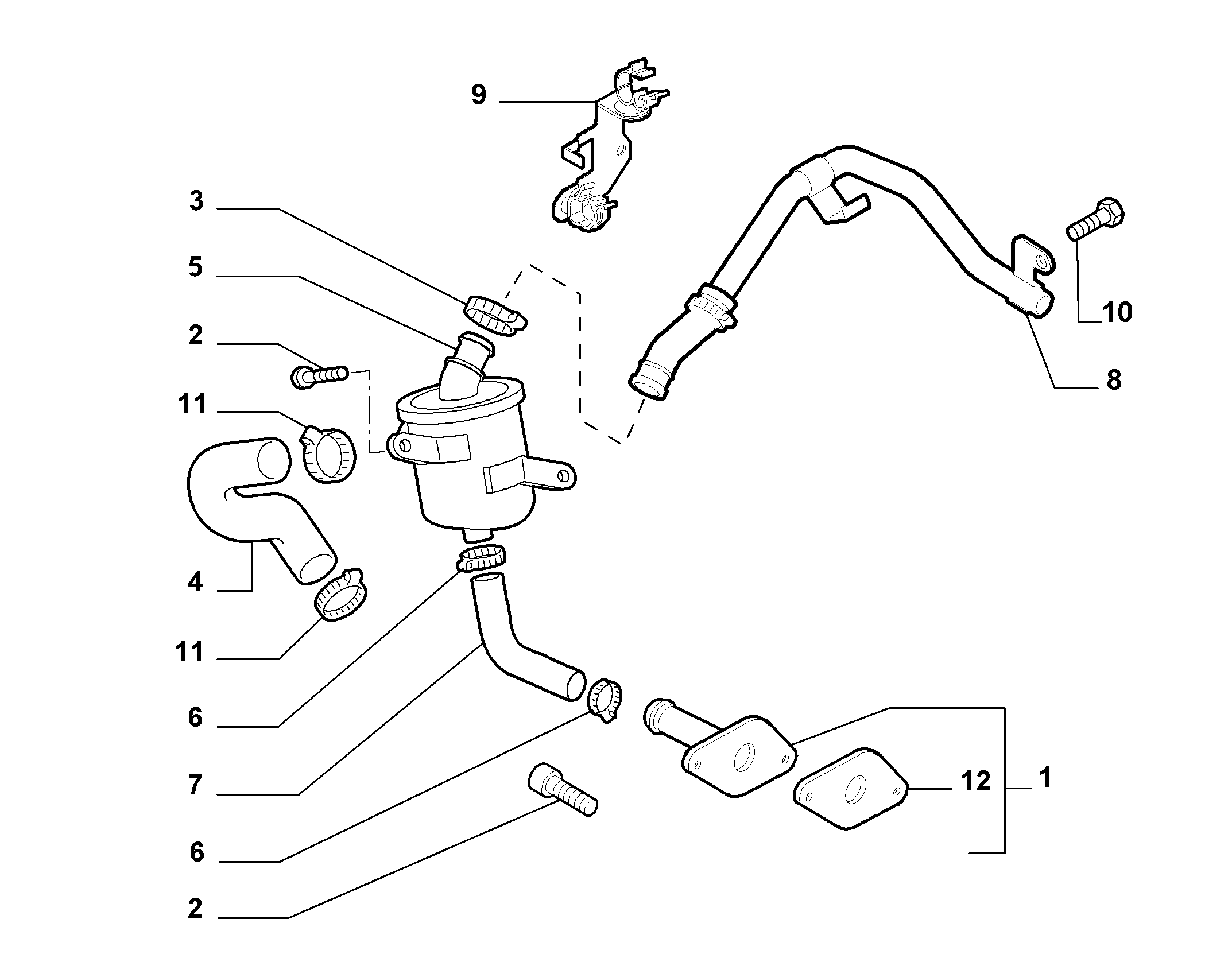 FIAT 55191438 - Oil Hose onlydrive.pro