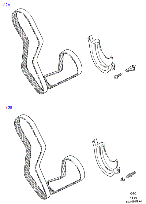 FORD 1 113 179 - Timing Belt onlydrive.pro