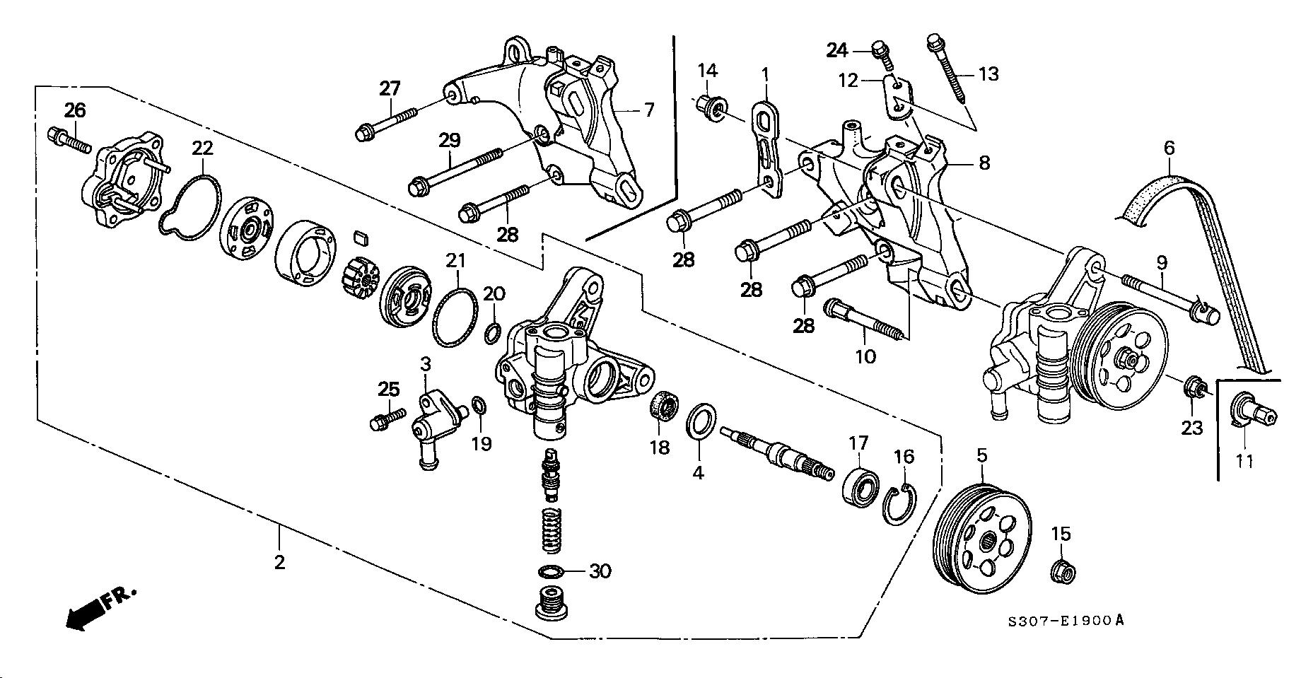 Honda 56992-P13-003 - Ķīļrievu siksna onlydrive.pro