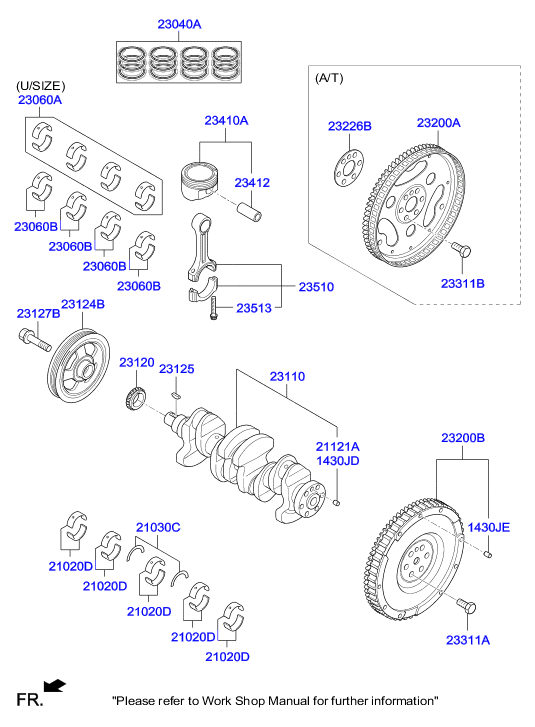 KIA 23121-03AA0 - Gear, crankshaft onlydrive.pro