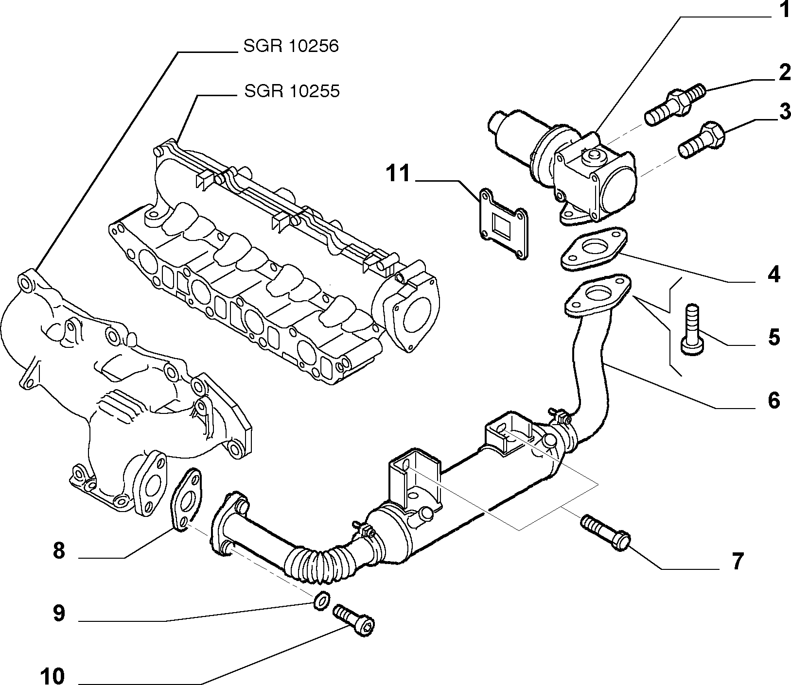 FIAT 55191883 - Blīve, Izplūdes gāzu recirkulācijas vārsts onlydrive.pro