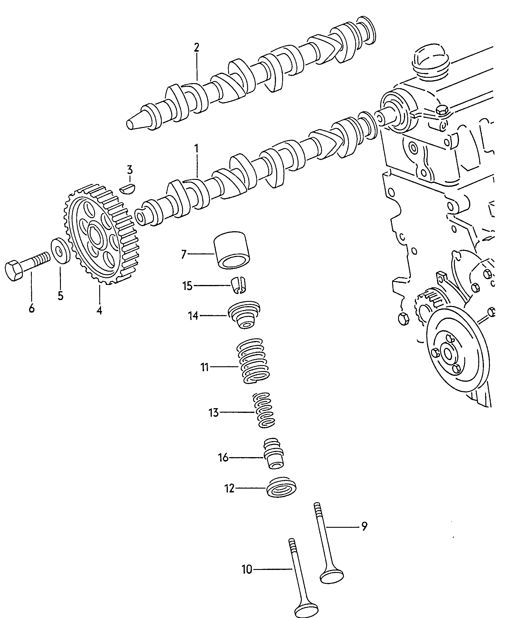 Skoda 06A109105C - Gear, camshaft onlydrive.pro