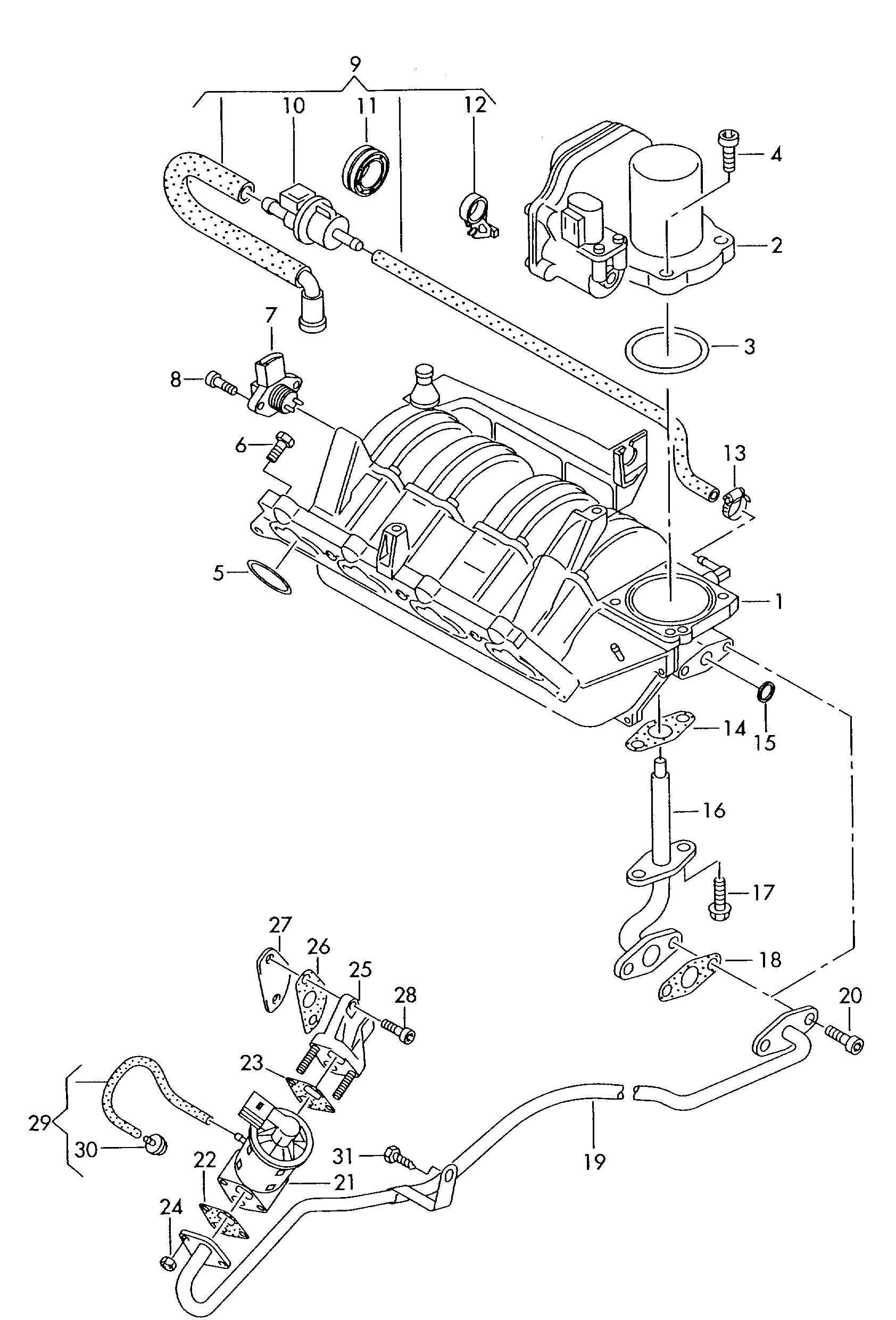 VW 036 131 503 T - Прокладка, клапан возврата ОГ onlydrive.pro