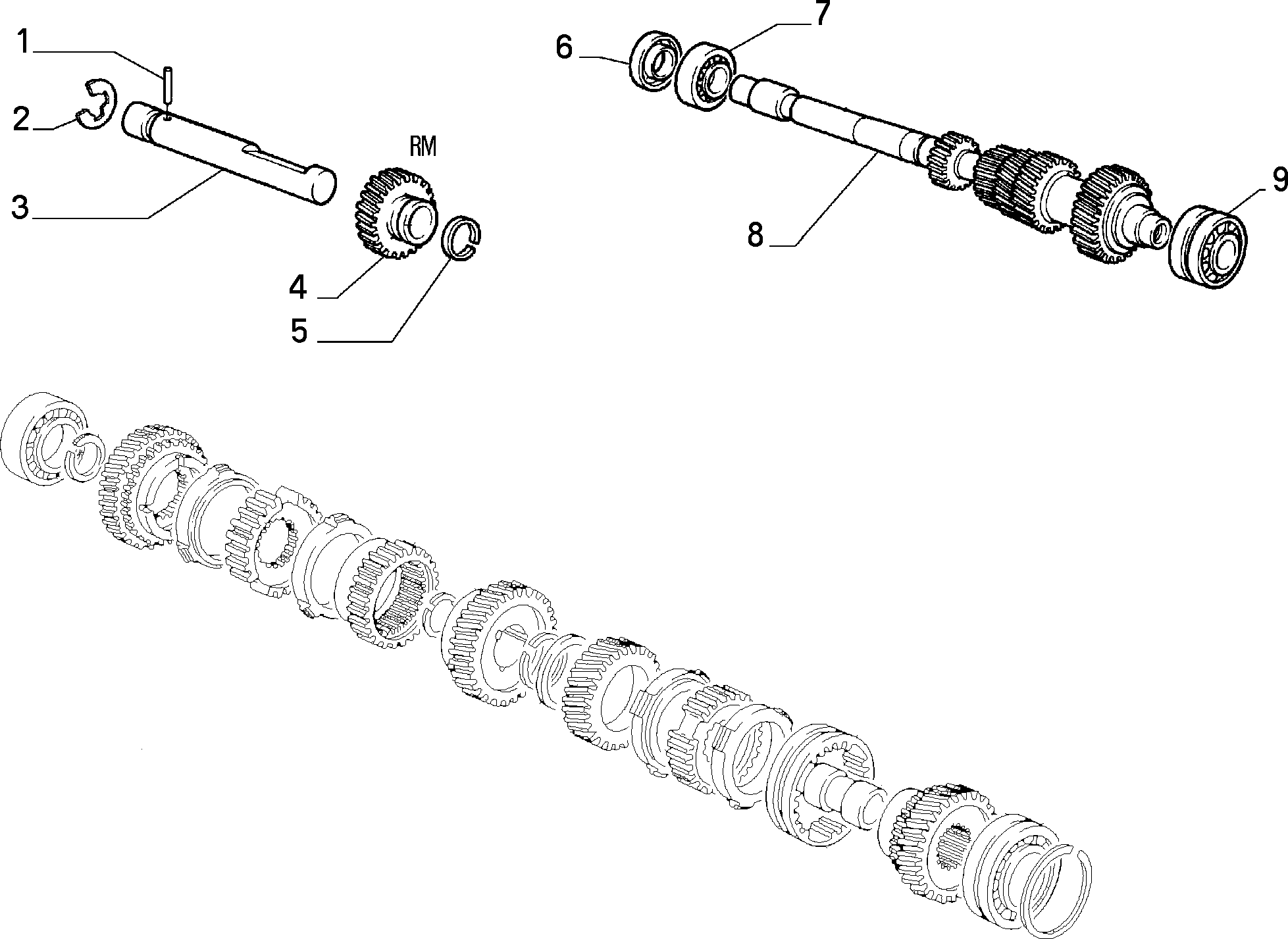 FIAT 26126889 - Shaft Seal, differential onlydrive.pro