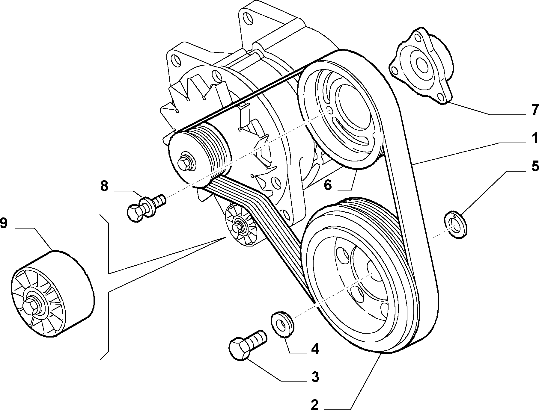 FIAT 504171191 - V-Ribbed Belt onlydrive.pro