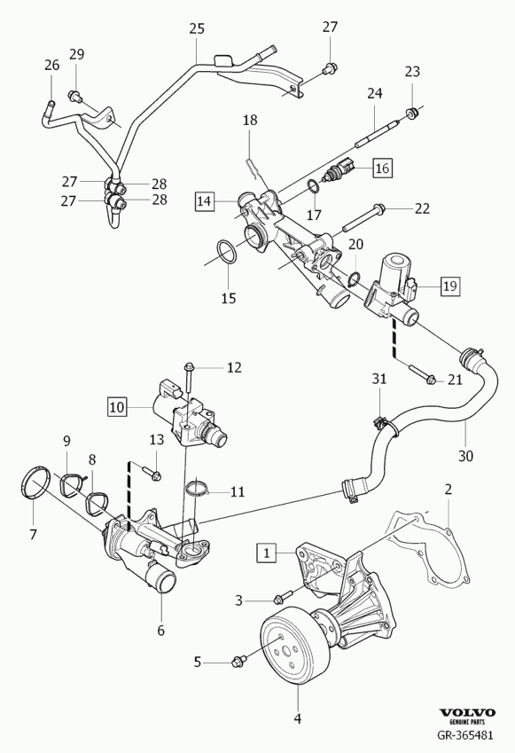 Volvo 31368353 - Water Pump onlydrive.pro