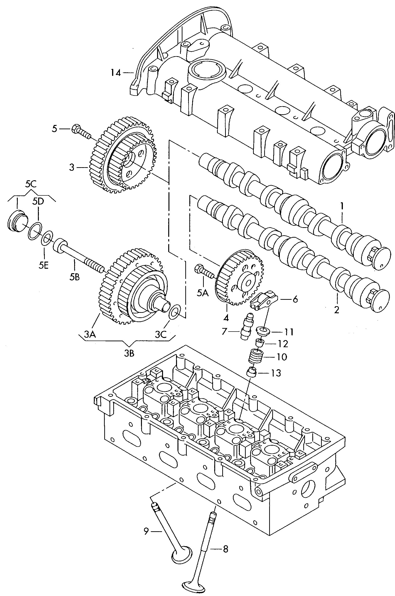 Skoda 036109111G - Gear, camshaft onlydrive.pro